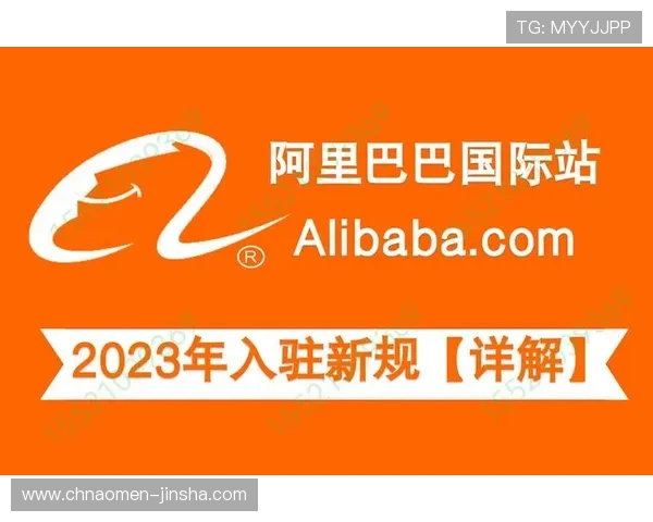 金沙国际国际站安全保障措施详解，保障玩家账号与资金安全的实用指南