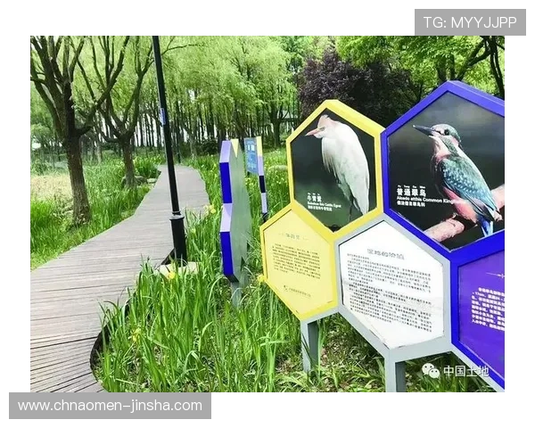 探索金沙河面业集团在绿色生产与可持续发展方面的实践经验与行业示范作用