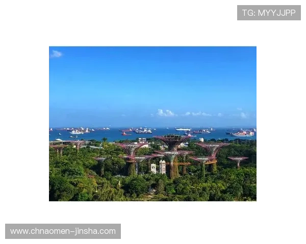 新加坡金沙娱乐城全面介绍最新娱乐项目与优惠活动指南